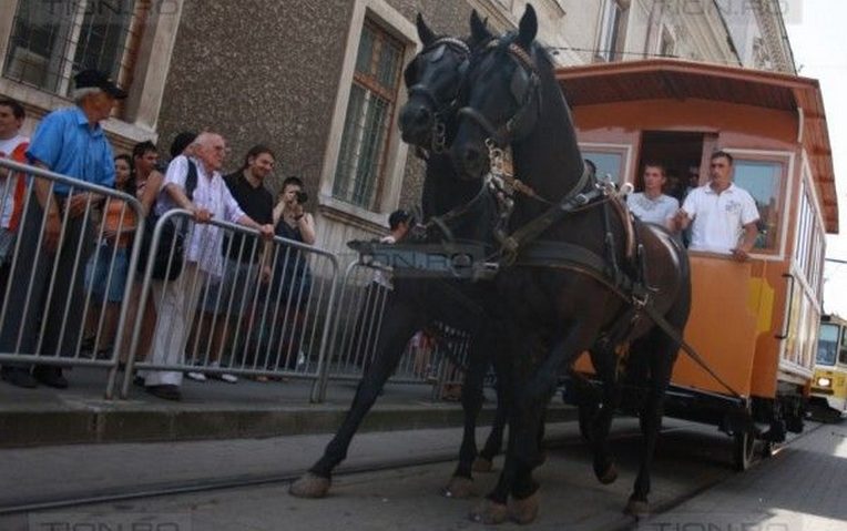 Ziua Transportului Public sărbătorită la Timişoara Ziua Transportului Public sărbătorită la Timişoara