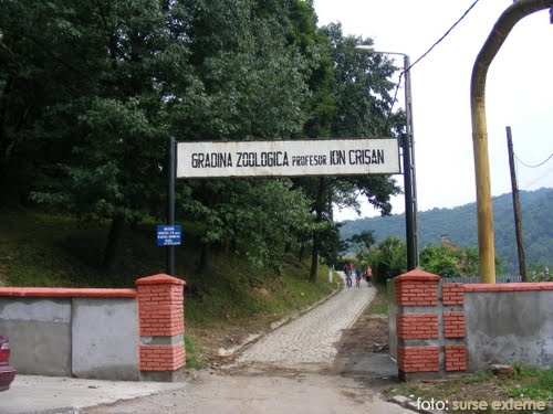 [AUDIO] Se apropie inaugurarea grădinii zoologice din Reşiţa