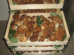 Ciuperci multe, procesatori puţini Ciuperci multe, procesatori puţini