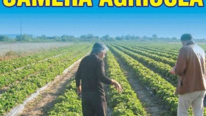 [UPDATE][AUDIO] Apicultorii au câştigat alegerile Camerei Agricole Caraş-Severin
