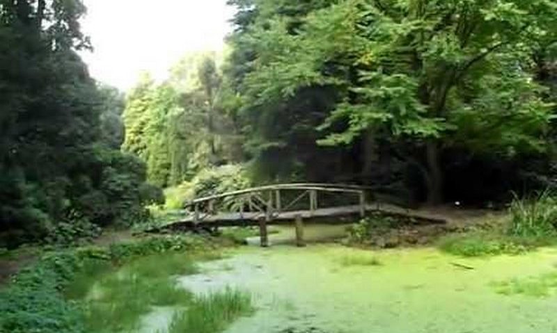 Acţiune de ecologizare în Parcul Dendrologic Simeria Acţiune de ecologizare în Parcul Dendrologic Simeria