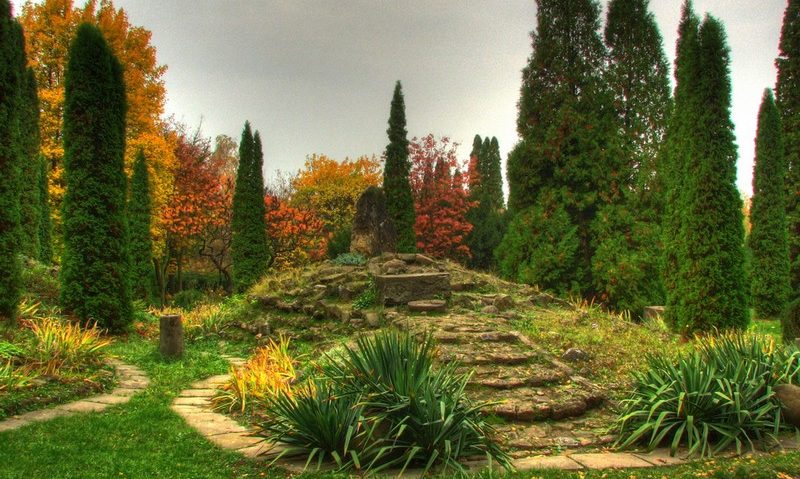 Porţi deschise la grădina botanică Porţi deschise la grădina botanică