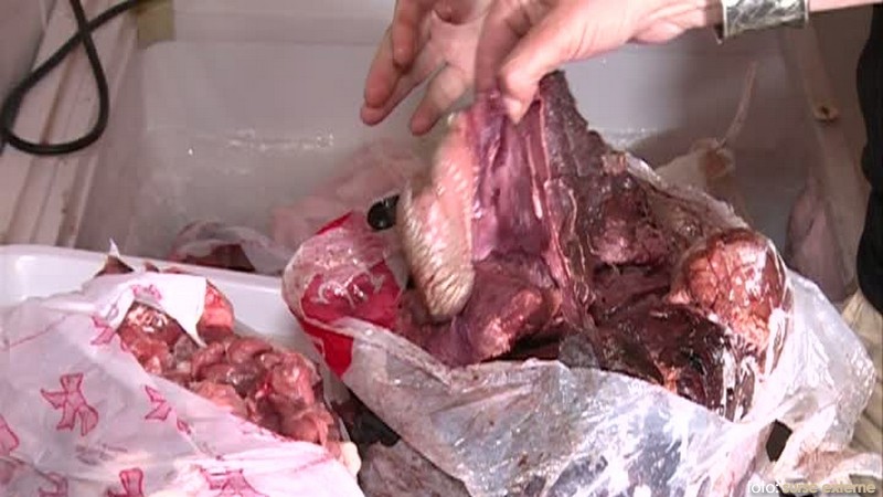 Atenţie: produse expirate în unităţile de alimentaţie publică din Caraş-Severin Atenţie: produse expirate în unităţile de alimentaţie publică din Caraş-Severin
