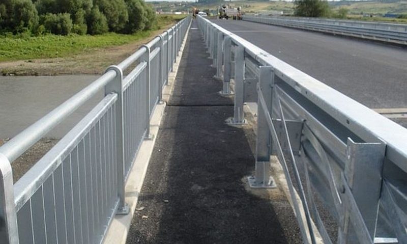 Urşii creează probleme constructorilor de autostrăzi Urşii creează probleme constructorilor de autostrăzi