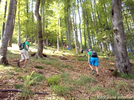 O nouă excursie pe traseu montan O nouă excursie pe traseu montan
