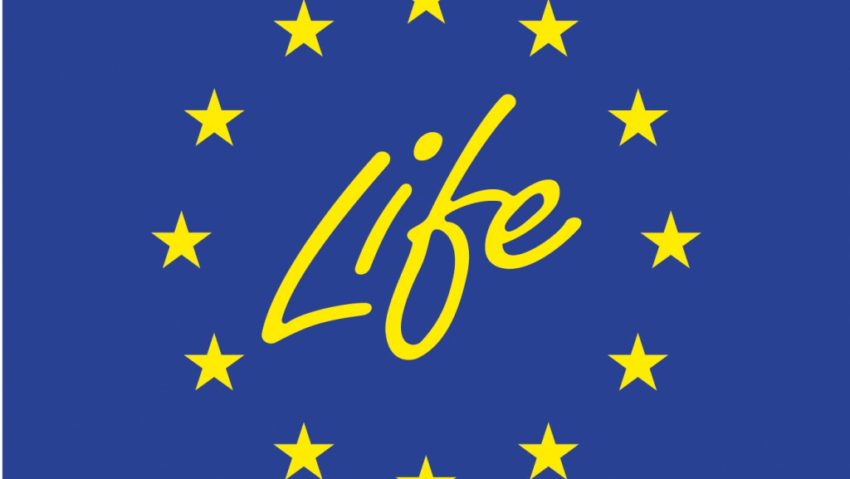 România finanţează ţările bogate România finanţează ţările bogate