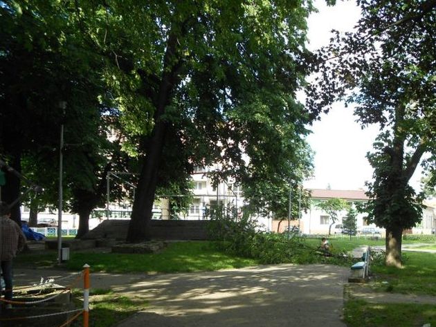 Toamna consemnează parcuri mai frumoase la Lugoj Toamna consemnează parcuri mai frumoase la Lugoj