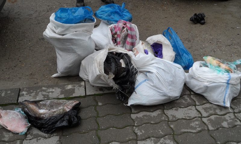 Peştele reţinut de poliţişti Peştele reţinut de poliţişti