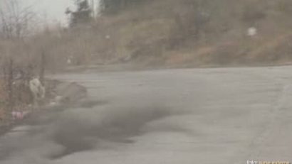 Prefectura se implică în problema poluării din Clisura Dunării
