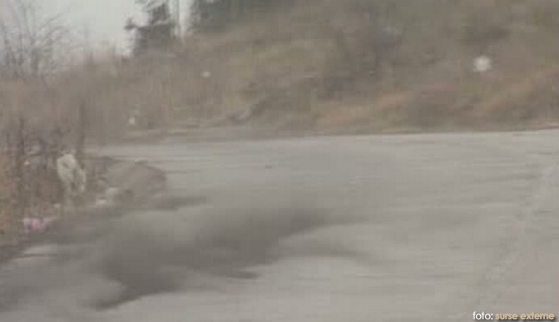 Prefectura se implică în problema poluării din Clisura Dunării Prefectura se implică în problema poluării din Clisura Dunării