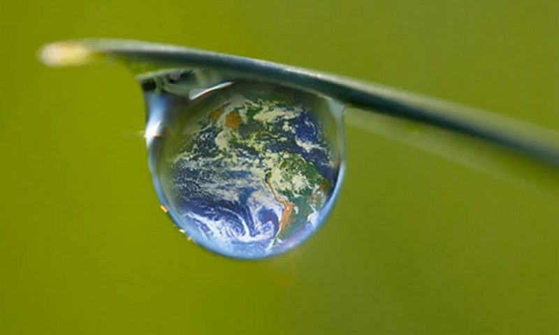 Proiect pentru un antreprenor verde, în Lugoj Proiect pentru un antreprenor verde, în Lugoj