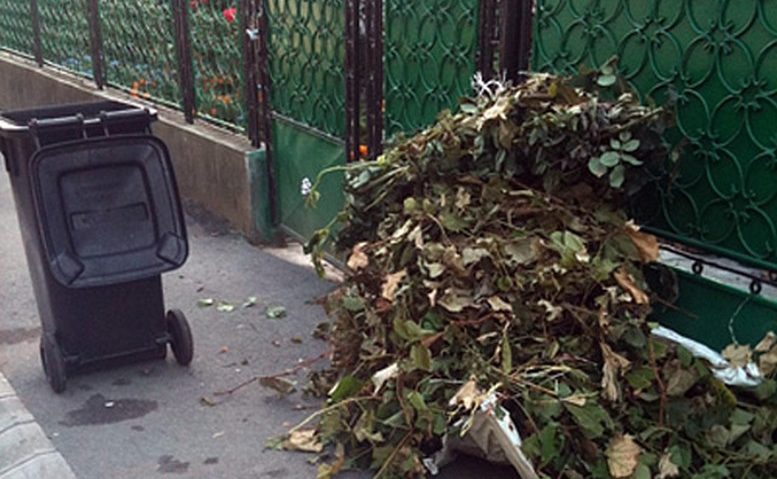 Curăţenia de toamnă, etapa I la final Curăţenia de toamnă, etapa I la final