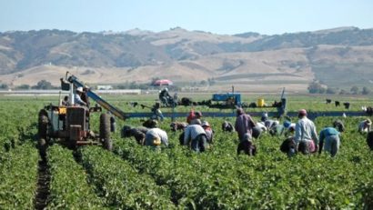 Agricultorii din Serbia, nemulţumiţi de diminuarea subvenţiilor