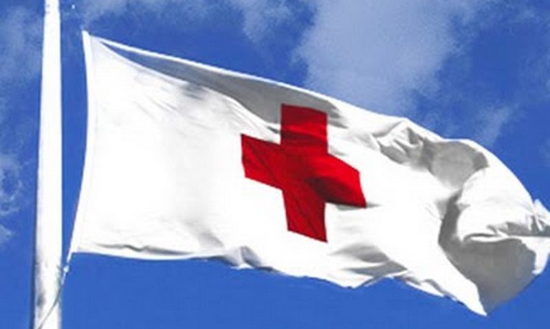 [AUDIO] 8829 – SMS umanitar unic lansat de Crucea Roşie Română