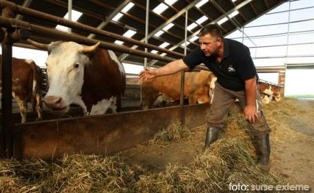 Balul fermierilor, prilej de petrecere pentru gospodarii din Cornereva Balul fermierilor, prilej de petrecere pentru gospodarii din Cornereva