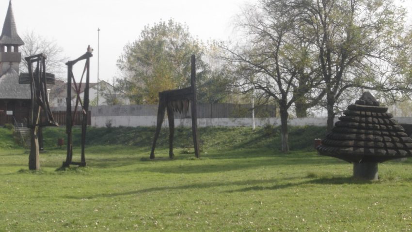 Plantări de arbori în Parcul Teiuş Plantări de arbori în Parcul Teiuş