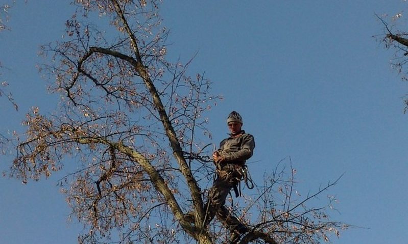 [AUDIO] Garda de Mediu Caraş-Severin cu ochii pe Primăria Reşiţa