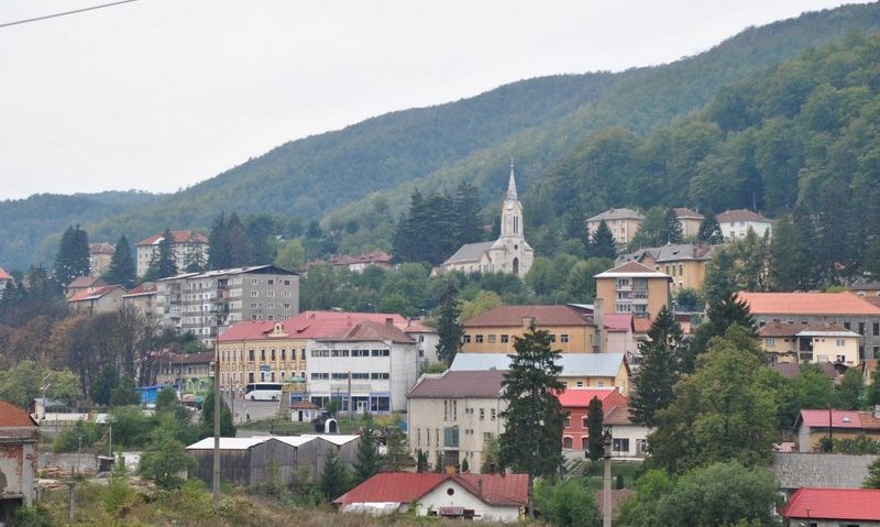 [AUDIO] Anina văzută prin prisma artei