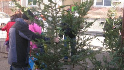 [AUDIO] Brazi la ofertă! Pe ultima sută de metri pomii s-au cumpărat la jumătate de preţ