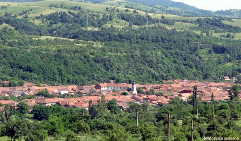 Consiliul Local al comunei Mehadia se reuneşte în şedinţă