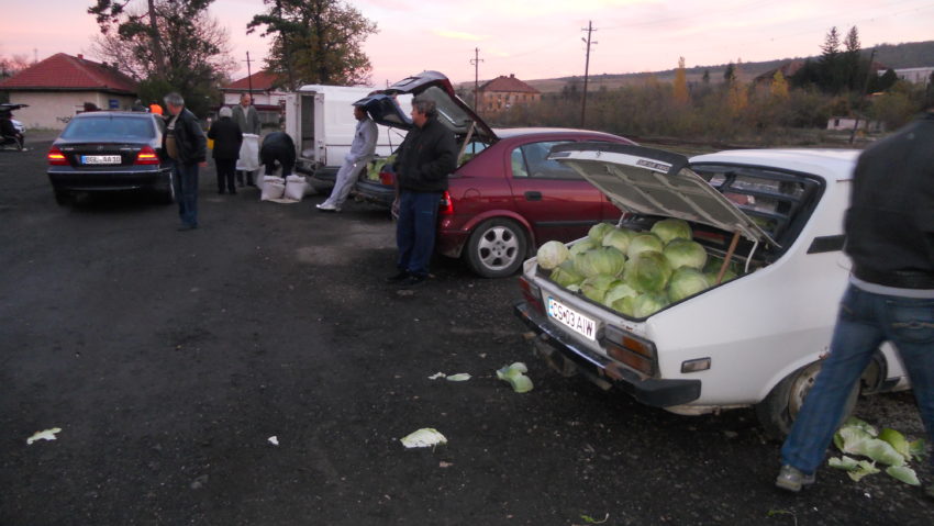 O nouă locație pentru piața de cereale din Oravița O nouă locație pentru piața de cereale din Oravița