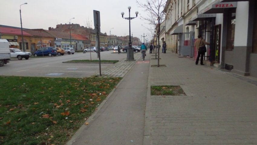Bulevardul Regele Carol I din Timişoara ar putea avea o nouă înfăţişare Bulevardul Regele Carol I din Timişoara ar putea avea o nouă înfăţişare