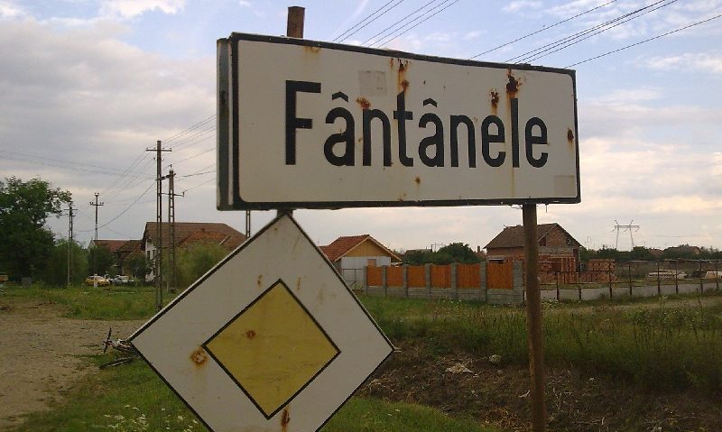 Parcele de teren în rate pentru tinerii care aleg mediul rural Parcele de teren în rate pentru tinerii care aleg mediul rural