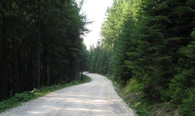 Drum forestier la Bănia Drum forestier la Bănia