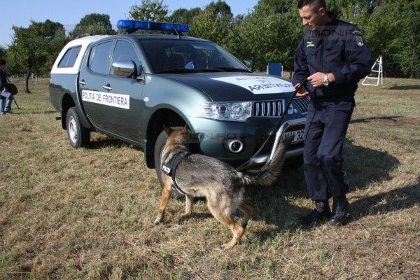 [AUDIO] Focuri de armă la Uivar