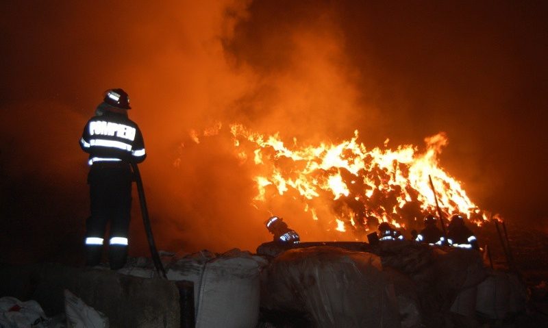 Incendiu de proporţii la un adăpost de animale Incendiu de proporţii la un adăpost de animale