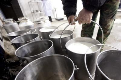 [AUDIO] Interdicţii, la comercializarea laptelui, pentru micii producători