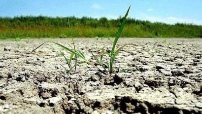 [AUDIO] Culturile agricole, compromise din cauza lipsei de precipitaţii