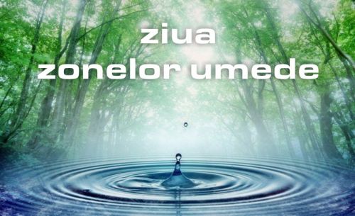 [AUDIO] Ziua Zonelor Umede, marcată şi în Banat