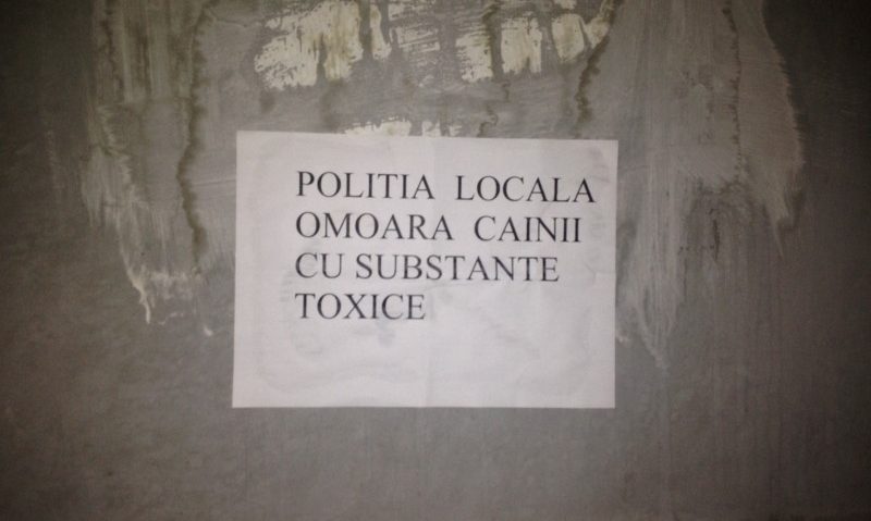 Acuze nefondate la adresa Poliţiei Locale Orşova Acuze nefondate la adresa Poliţiei Locale Orşova