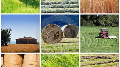 Dezvoltarea rurală ajunge în satele timişene