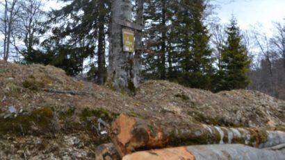 Dezastru ecologic în zona Muntele Mic