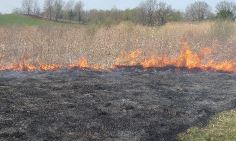 Incendii de vegetație uscată în Caraș-Severin Incendii de vegetație uscată în Caraș-Severin