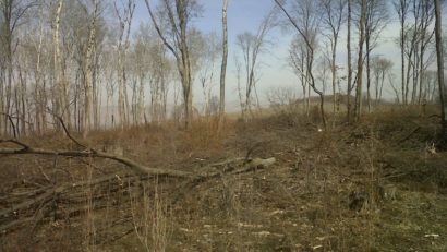 Scrisoare deschisă pentru protejarea pădurilor municipiului Reșița și încadrarea lor ca păduri de protecție sau păduri parc