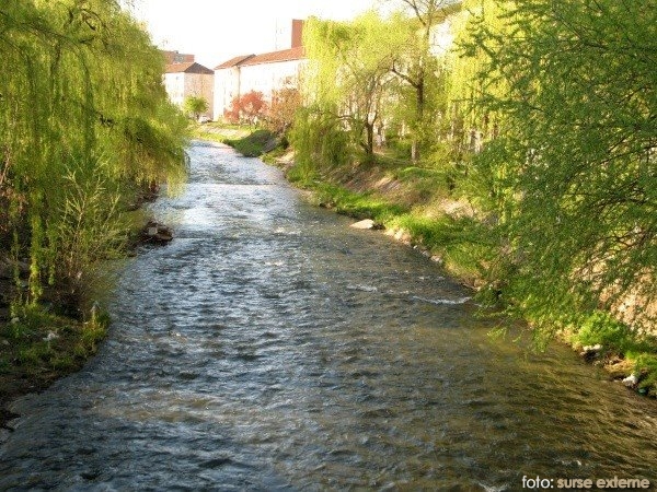 [UPDATE] O femeie a căzut în râul Bârzava