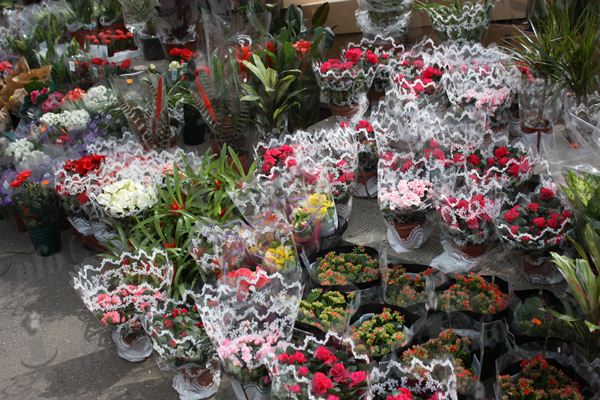 Se vând florile ca pâinea caldă! Se vând florile ca pâinea caldă!