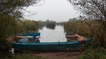 Pescuit ilegal în zona Ostrovului Moldova-Veche