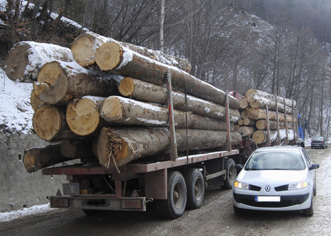 Radarul pădurilor obligatoriu din octombrie, pentru orice transport de lemne Radarul pădurilor obligatoriu din octombrie, pentru orice transport de lemne