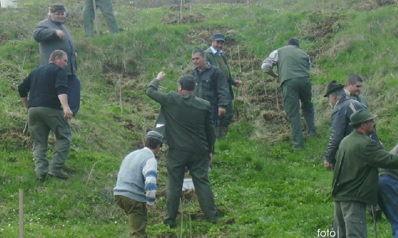 Sute de mii de lei, investiţi în campania de împădurire din această primăvară Sute de mii de lei, investiţi în campania de împădurire din această primăvară