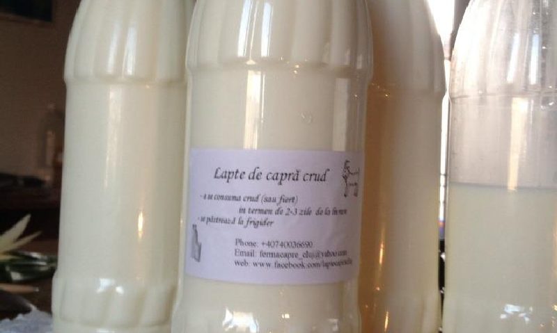 PET-urile pentru lăptari la dispoziţia acestora PET-urile pentru lăptari la dispoziţia acestora