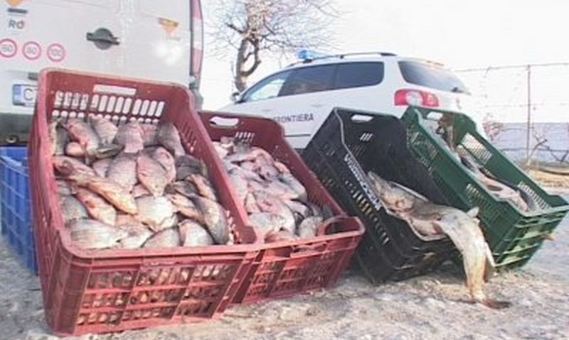 A căzut în plasa poliţiştilor din Clisura Dunării A căzut în plasa poliţiştilor din Clisura Dunării