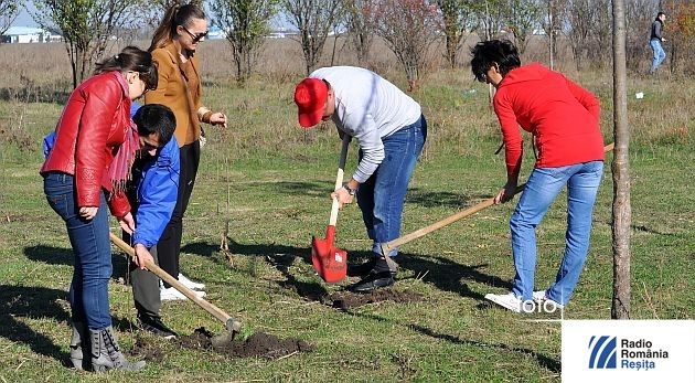 Împăduriri în „Luna Pădurii”, la Lugoj Împăduriri în „Luna Pădurii”, la Lugoj