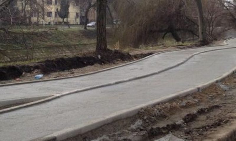 Un proiect european va fi modificat pentru că nu prevede tăieri de arbori Un proiect european va fi modificat pentru că nu prevede tăieri de arbori