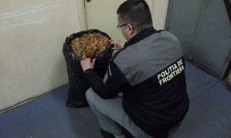Contrabandă cu tutun vrac la Orşova Contrabandă cu tutun vrac la Orşova