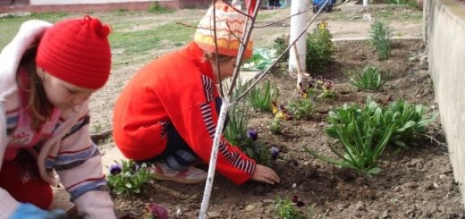 Să-i învăţăm pe copii să iubească natura! Să-i învăţăm pe copii să iubească natura!