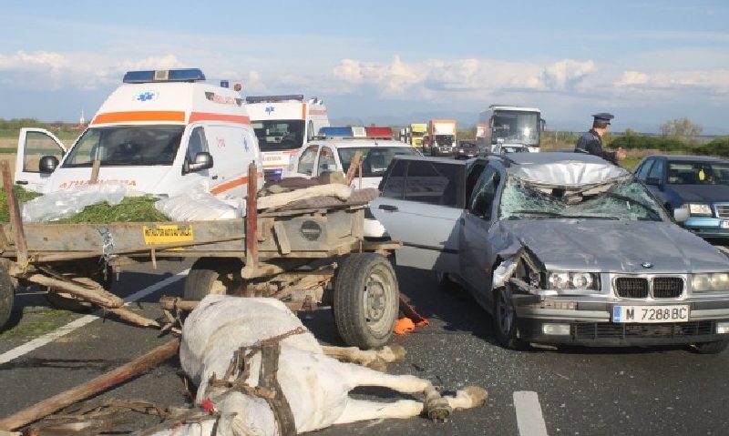 Un autoturism a spulberat o căruță în apropiere de Lugoj! Calul a murit pe loc, iar o persoană a ajuns la spital Un autoturism a spulberat o căruță în apropiere de Lugoj! Calul a murit pe loc, iar o persoană a ajuns la spital